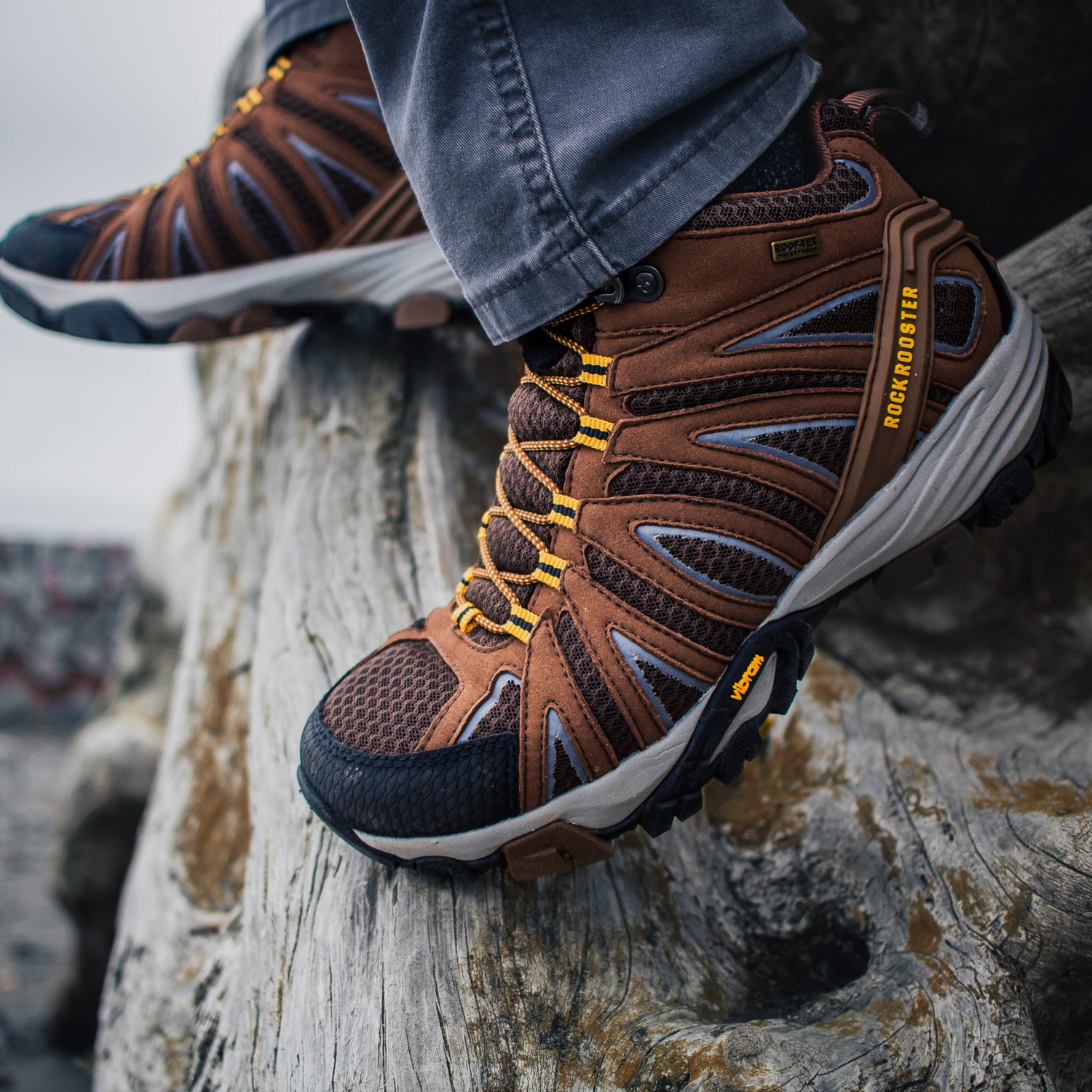 Trailblazer: Footwear Collection